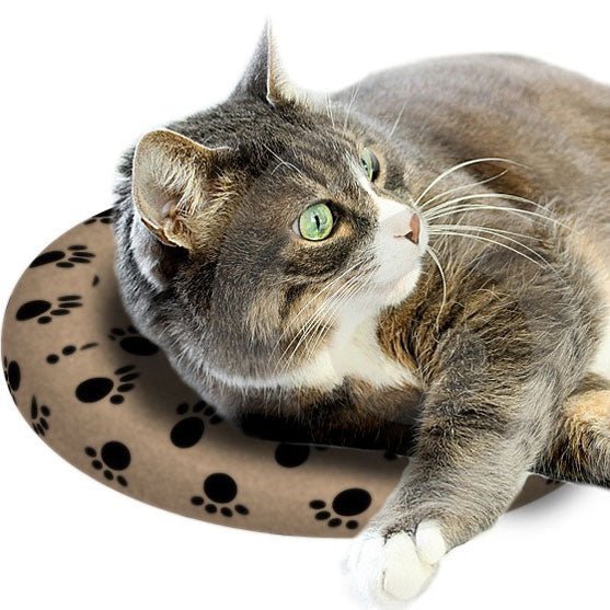 Snugglesafe Headpad for Pets - Shopping4Africa