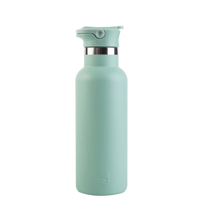 The Lizzard Bottle 500ml - Shopping4Africa
