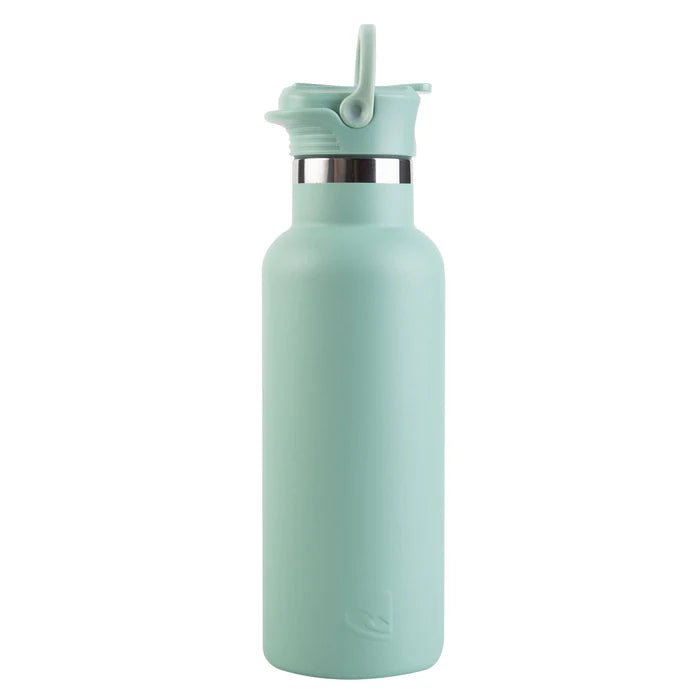 The Lizzard Bottle 500ml - Shopping4Africa
