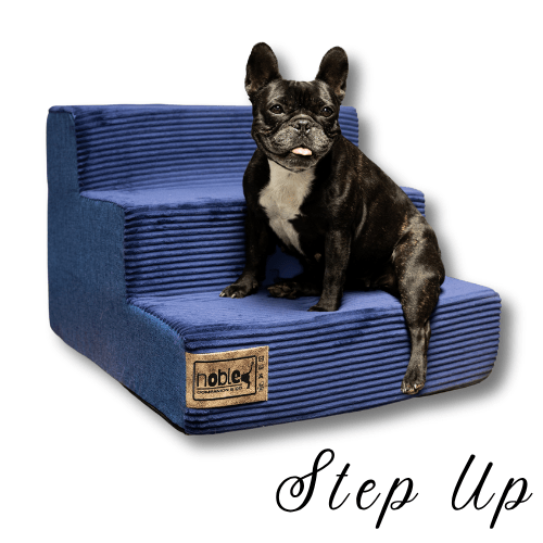 The Step Up - Pet Stairs/Steps - Shopping4Africa