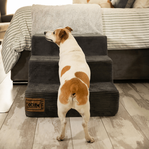 The Step Up - Pet Stairs/Steps - Shopping4Africa