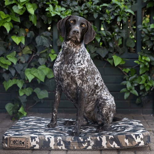 The Wild Napper Outdoor Dog Bed - Shopping4Africa