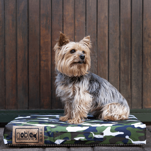 The Wild Napper Outdoor Dog Bed - Shopping4Africa