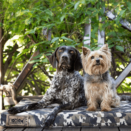 The Wild Napper Outdoor Dog Bed - Shopping4Africa
