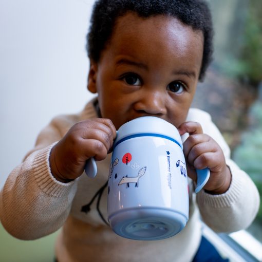 Tommee Tippee Sippee Cup 300Ml - Boy 6M+ - Shopping4Africa