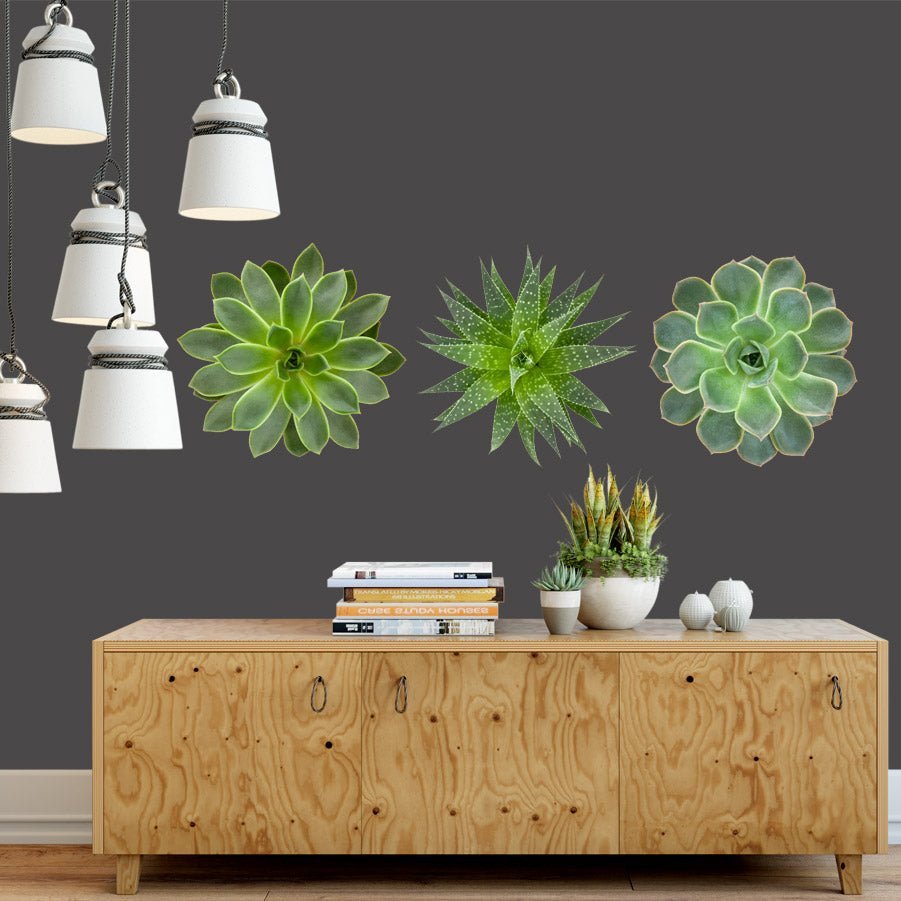 Trio of Succulents in green - Vinyl wall stickers - Shopping4Africa