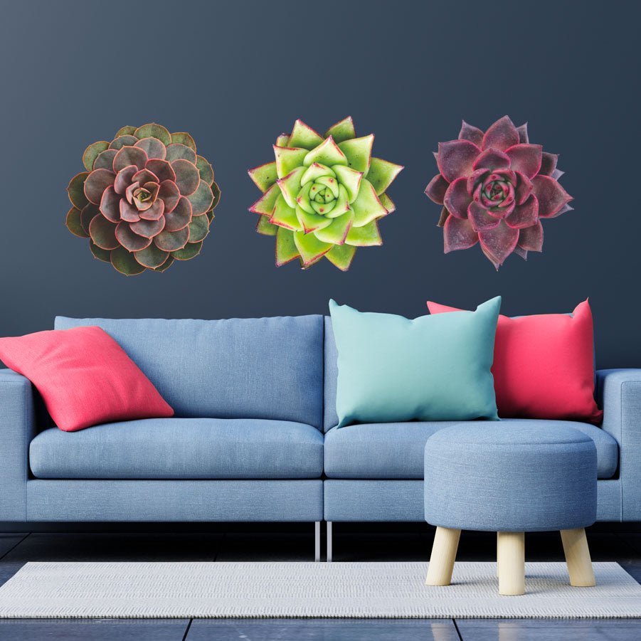 Trio of Succulents in red hues - Vinyl wall stickers - Shopping4Africa