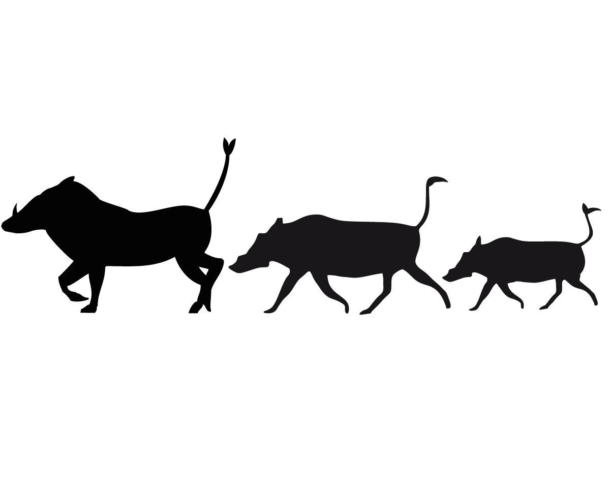 Warthogs - vinyl wall stickers