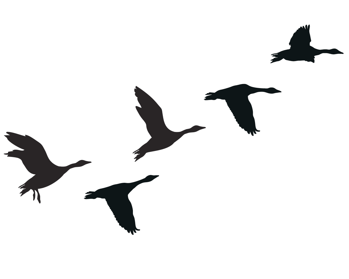 Wild geese  - Vinyl wall stickers