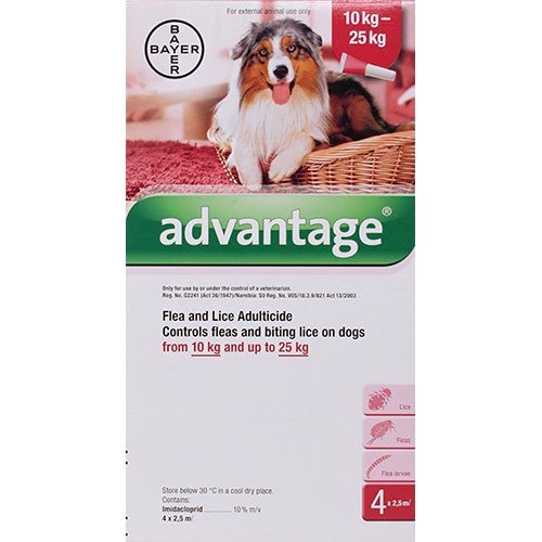 Advantage Large Dog Red 10-25kg 2.5ml @ 4 Pipets - Shopping4Africa