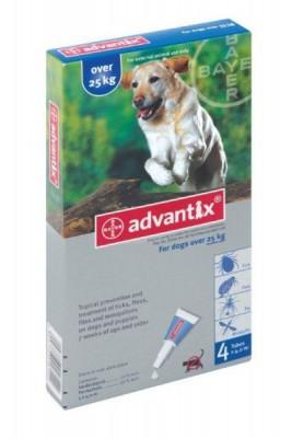 ADVANTIX X/L DOG (BLUE) 25kg+ - Shopping4Africa