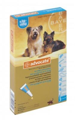 ADVOCATE MED DOG (3 X 1.0ML) 4-10kg TURQ - Shopping4Africa