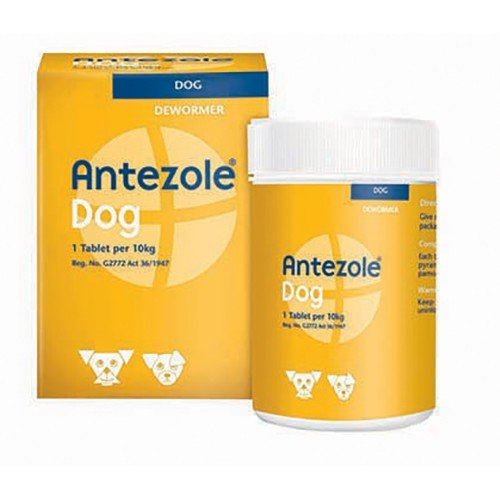 Antezole Dog Dewormer @ 50 Tablets Kyron - Shopping4Africa