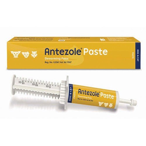 Antezole Paste @ 15ml Kyron - Shopping4Africa