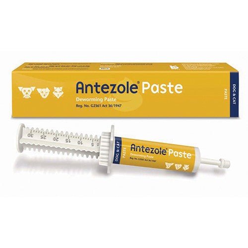 Antezole Paste @ 30ml Kyron - Shopping4Africa