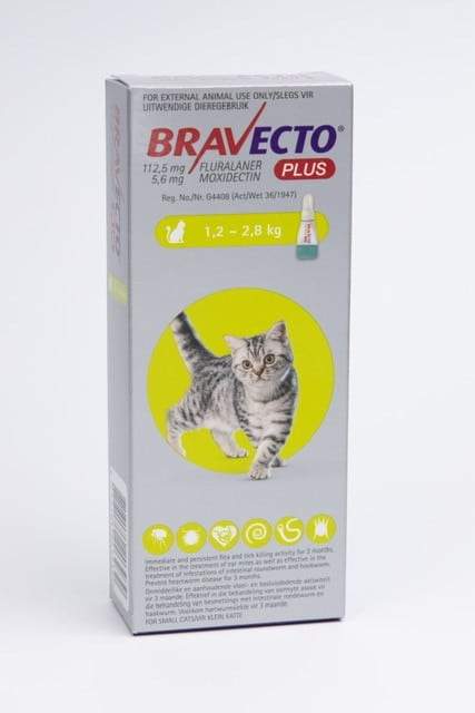 BRAVECTO PLUS Small CATS (1.2 - 2.8kg) YELLOW - Shopping4Africa