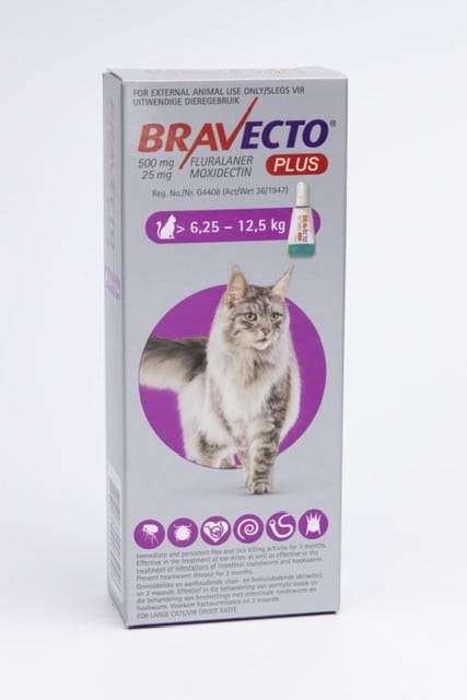 BRAVECTO X-LARGE Chew (>40 - 56KG) Pink - Shopping4Africa