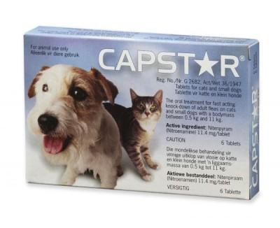 CAPSTAR CAT& SMALL DOG 6'S (BLUE) (11.4MG) - Shopping4Africa