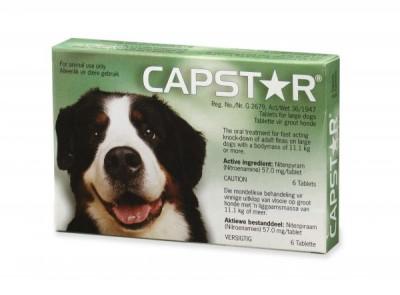 CAPSTAR DOG LARGE 6'S (GREEN) (57MG) - Shopping4Africa
