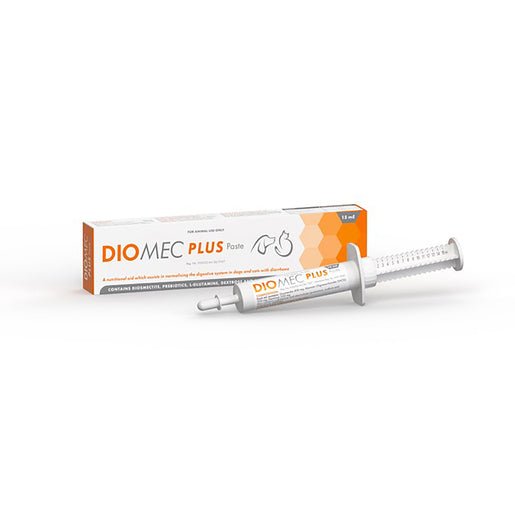 Diomec Paste 15ml (Plus) - Shopping4Africa