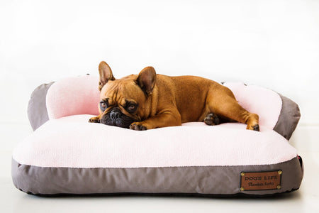 Dog's Life Slumber Sofa Pink Sizes S-XL - Shopping4Africa