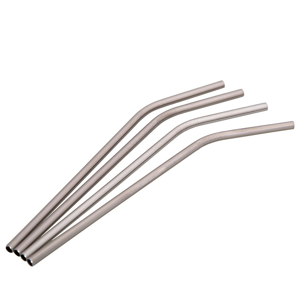 Lizzard Stainless Steel Straw Set - Shopping4Africa