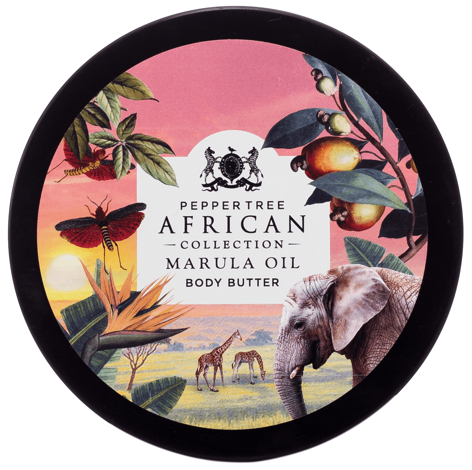 Marula Body Butter - Shopping4Africa