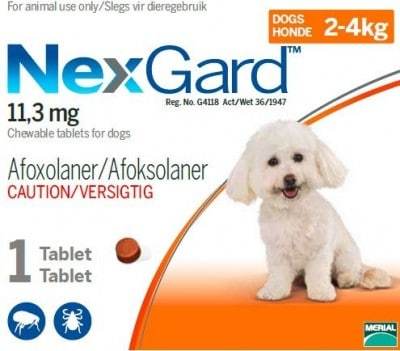 NEXGARD 2-4KG (0.5G) 1 PACK SINGLE Small Orange ** + 1 Cooler Bag free!** - Shopping4Africa