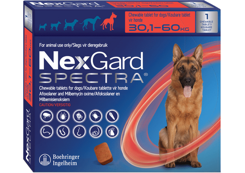 NEXGARD SPECTRA Red Single chew, XLarge 30.1-60kg - Shopping4Africa