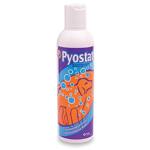 PYOSTAT 200ML SOLUTION @ - Shopping4Africa