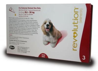 REVOLUTION 12% DOGS (1MLX3)10.1-20KG (RED) - Shopping4Africa