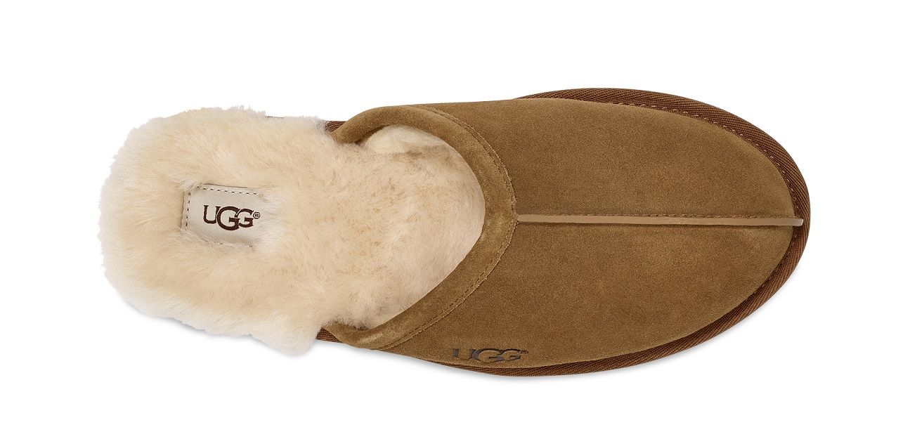 UGG Mens Scuff Slipper Chestnut - Shopping4Africa